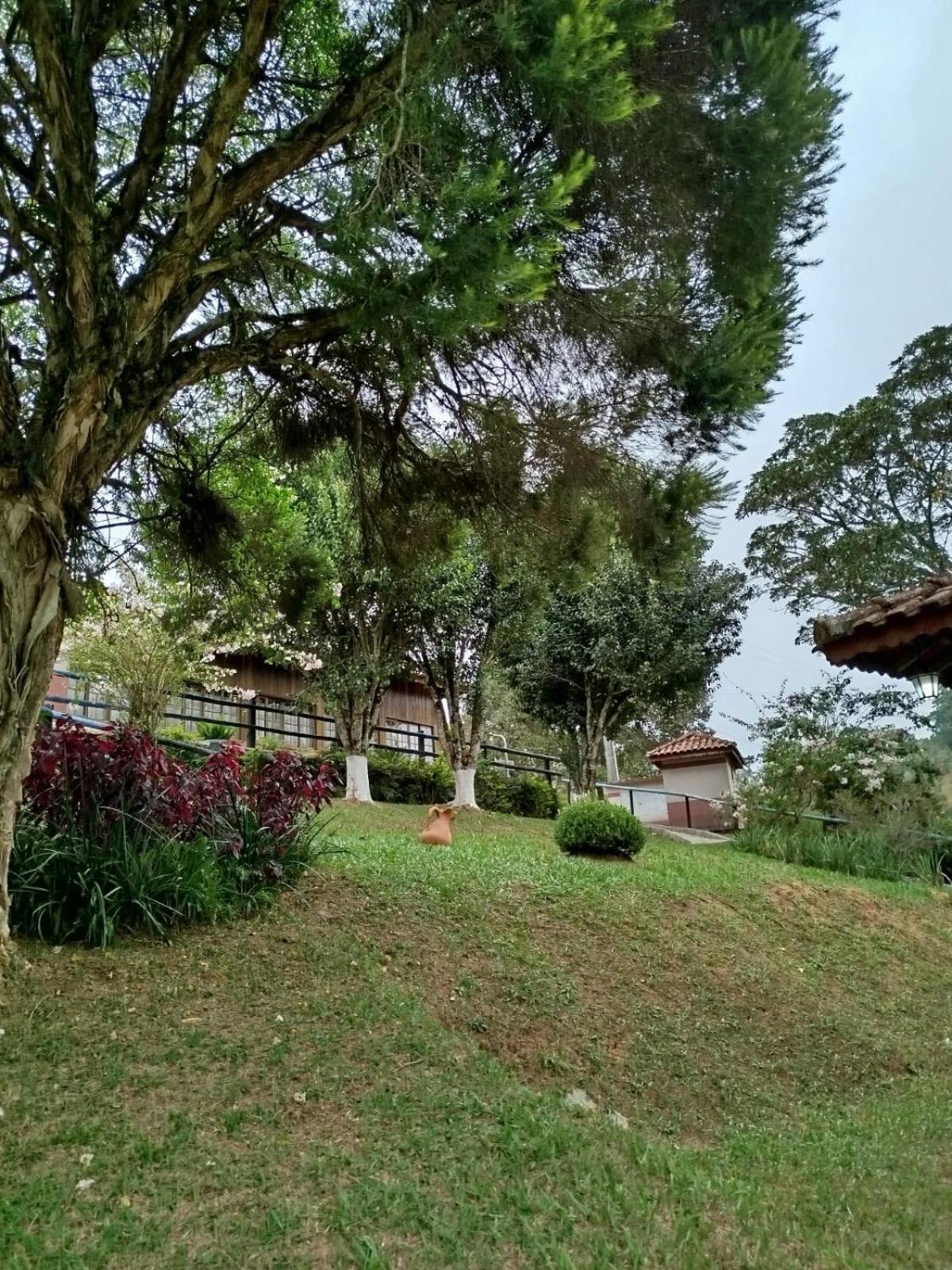 סנטו אנטוניו דו פינהאל Estrela Da Serra Hotel Fazenda מראה חיצוני תמונה